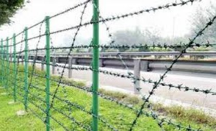 DİKENLİ &Ccedil;İT